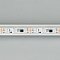 Светодиодная лента SPI-5000PGS-5060-60 12V Cx3 RGB (12mm, 14.4W, IP67) (Arlight, Закрытый, IP67)