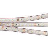 Светодиодная лента RTW 2-5000PS 24V White6000 2x (3528, 600 LED, LUX) (Arlight, 9.6 Вт/м, IP67)