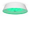 Потолочный светильник FR10013CL-L24W Элементы 24 Вт LED