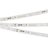 Светодиодная лента RT-20000 24V White5500 (3528, 60 LED/m, 20m) (Arlight, 4.8 Вт/м, IP20)