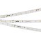 Светодиодная лента RT-20000 24V White5500 (3528, 60 LED/m, 20m) (Arlight, 4.8 Вт/м, IP20)