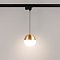 Светильник LGD-EMISFERO-TRACK-HANG-2TR-R150-11W Day4000 (GD, 170 deg, 230V) (Arlight, IP20 Металл, 3 года)