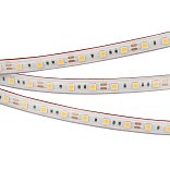 Светодиодная лента RTW 2-5000PS 12V Cool 8K 2x (5060, 300 LED, LUX) (Arlight, 14.4 Вт/м, IP67)