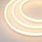 Образец Гибкий неон GALAXY-1608-5000CFS-2835-100 12V Warm 0.5M (16x8mm, 12W, IP67) (Arlight, 12 Вт/м, IP67)
