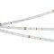 Светодиодная лента RT 2-5000 24V Cool 8K 0.5x (3528, 150 LED, LUX) (Arlight, 2.9 Вт/м, IP20)