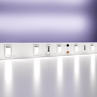 Светодиодная лента 24В 2835 4,8Вт/м 6000K 5м IP20