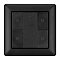 INTELLIGENT ARLIGHT Панель DALI-223-1G-2S-IN-BLACK (BUS) (IARL, -)