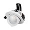 Светильник LTD-EXPLORER-R100-12W Day5000 (WH, 38 deg) (Arlight, IP20 Металл, 3 года)