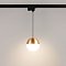 Светильник LGD-EMISFERO-TRACK-HANG-2TR-R150-11W Warm3000 (GD, 170 deg, 230V) (Arlight, IP20 Металл, 3 года)