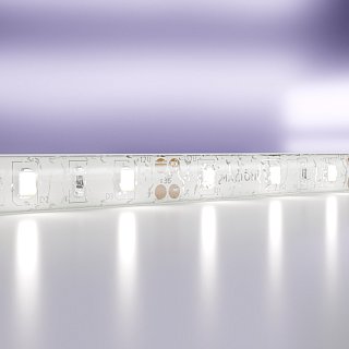 Светодиодная лента 12В 2835 7,2Вт/м 6000K 5м IP65