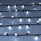 Светодиодная гирлянда ARD-BALL-CLASSIC-D17.5-10000-BLACK-100LED WHITE (230V, 7W) (Ardecoled, IP65)
