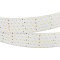 Светодиодная лента RT 2-2500 24V Cool 8K 5x2 (2835, 875 LED, LUX) (Arlight, 36 Вт/м, IP20)
