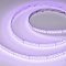 Светодиодная лента RT-AM360-12mm 24V RGBW-MIX (24 W/m, IP20, 2835/2210, 5m) (Arlight, RGB-CCT, RGB-MIX, RGB-White MIX)