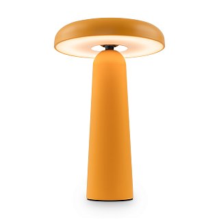 Аккумуляторный светильник FR6109TL-L4OR Гриб 4 Вт LED