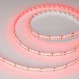 Светодиодная лента CSP-X840-12mm 24V RGBW-White (17.2 W/m, IP20, 5m) (Arlight, 5 лет)