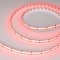 Светодиодная лента CSP-X840-12mm 24V RGBW-Day (17.2 W/m, IP20, 5m) (Arlight, 5 лет)
