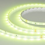 Светодиодная лента RT-A60-8mm 24V Spring Green (4.8 W/m, IP20, 5m) (Arlight, -)