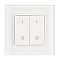 Панель SMART-P47-DIM-G-SUF (3V, 2 зоны, Knob, 2.4G) (Arlight, Пластик)