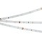Светодиодная лента RT 2-5000 24V Cool 8K 0.5x (3528, 150 LED, LUX) (Arlight, 2.9 Вт/м, IP20)