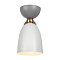 Настенный светильник (бра) Клош / Cloches E14х1