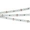 Светодиодная лента RS 2-5000 24V Cool 10K 2x (3014, 120 LED/m, LUX) (Arlight, 9.6 Вт/м, IP20)