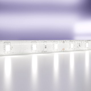 Светодиодная лента 24В 2835 4,8Вт/м 6000K 5м IP65