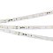 Светодиодная лента RT-20000 24V White5500 (3528, 60 LED/m, 20m) (Arlight, 4.8 Вт/м, IP20)