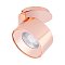 Модуль светодиодный PLURIO-LAMP-R77-9W Day4000 (COP, 36 deg, 2-2, 38V, 200mA) (Arlight, Металл)