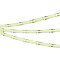 Светодиодная лента COB-X544-8mm 24V Green (11.5 W/m, IP20, 5m) (Arlight, -)