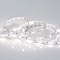 Светодиодная лента RT 2-5000 12V Day4000 (5060, 150 LED, LUX) (Arlight, 7.2 Вт/м, IP20)